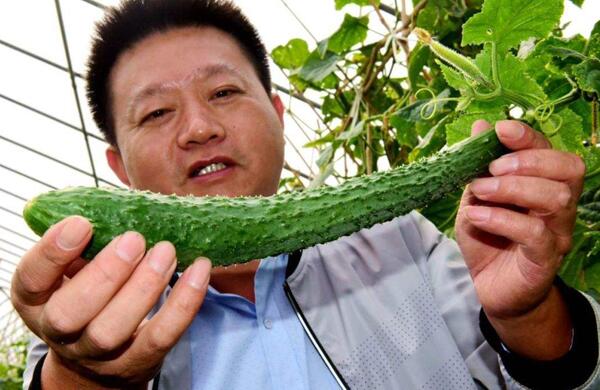 生鮮食材配送為什么大多不能與客戶建立長(zhǎng)期合作？